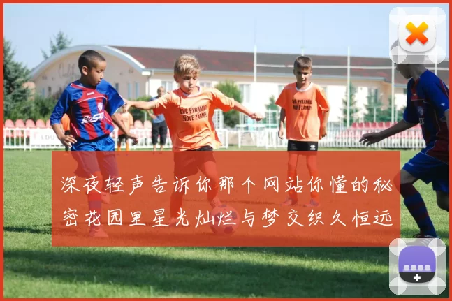 深夜轻声告诉你那个网站你懂的秘密花园里星光灿烂与梦交织久恒远