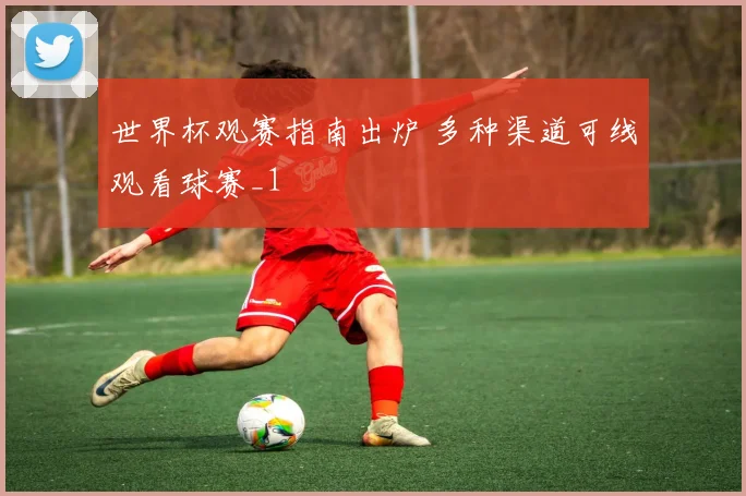 世界杯观赛指南出炉 多种渠道可线观看球赛_1